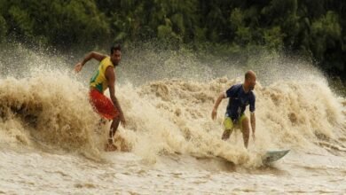 Surfe na Pororoca: Desafiando o monstro dos rios