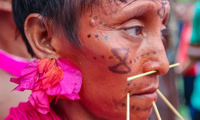 É urgente eliminar todo o garimpo ilegal da Terra Indígena Yanomami!