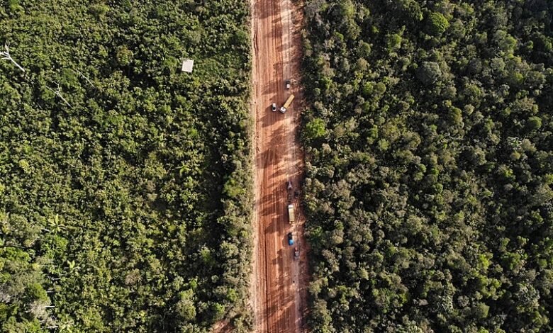 Rodovia Transamazônica