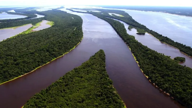 No Parque Nacional de Anavilhanas, o rio Negro apresenta um cenário singular que oferece inúmeras possibilidades de sensações, experiências e aprendizagem, em um labirinto de ilhas e águas negras espelhadas que se transforma com a variação do nível do rio, em um convite a desafiar nossos limites e ampliar nossa visão de mundo. O Parque Nacional de Anavilhanas está aberto o ano todo. Na seca (setembro a fevereiro) é possível desfrutar das belas praias de areias brancas que emergem por todo o arquipélago. Na cheia (março a agosto) o vislumbre fica por conta das trilhas aquáticas de igapó, isto é, passeios de barco por dentro das florestas alagadas. Em qualquer época, porém, é possível visitar o Flutuante dos Botos, apreciar a rica flora e fauna amazônica, fazer passeios de barco por um dos maiores arquipélagos fluviais do mundo, fazer trilhas terrestres, banhar-se nas belas águas do rio Negro, conhecer comunidades tradicionais ribeirinhas e o belo artesanato de Novo Airão, entre outros atrativos. COMO CHEGAR A partir de Manaus, é possível chegar à Novo Airão - cidade sede do Parque - por via aérea, fluvial ou terrestre. Via aérea – Novo Airão não possui aeroporto, somente Manaus, mas é possível fretar um hidroavião e pousar no rio Negro. Também é possível o pouso de helicópteros em áreas descampadas das comunidades, da Base 2 do PNA e de Novo Airão. Nas duas primeiras é preciso prévia autorização. Via fluvial - Os barcos para Novo Airão saem do Porto de São Raimundo, em Manaus. No momento, não há opção de lancha rápida (3 horas de viagem), somente barco regional (9 horas de viagem). De Manaus para Novo Airão, as partidas são à noite: terças e sextas às 20h. É importante confirmar os dias e horários, que ocasionalmente variam, assim como o valor da passagem. É necessário levar rede. Telefones Úteis: - Barco Regional – (92) 99146-5724 (Barco Novo Zanys) e (92) 99205-0560 (Barco Big Mar). Via terrestre - A viagem pode ser feita de carro, táxi-lotação ou ônibus executivo. Carro A partir de Manaus, depois de atravessar a ponte sobre o rio Negro, o visitante deve seguir pela AM-070 por aproximadamente 86 km, sentido Manacapuru. Após passar pelo balneário do Miriti (há placa no local), haverá um entroncamento à direita, onde se inicia a rodovia AM-352. Desse ponto, o deslocamento é de 98km até Novo Airão. Obs.: No entroncamento não há sinalização clara, de maneira que é preciso ficar atento. Contudo, caso não acerte, não se preocupe, o máximo que pode acontecer é você parar em Manacapuru e ter que retornar 5 km para entrar na estrada para Novo Airão. Taxi-lotação De taxi-lotação é mais rápido (por volta de 2 horas e meia de viagem), mas o serviço não é 24h. Geralmente o fluxo maior é no início da manhã ou da tarde. Sugerimos um contato prévio com algum prestador desse serviço. Há dois serviços de táxi que fazem o transporte entre Manaus e Novo Airão: Sindicato dos Taxistas de Novo Airão (SINDTAXI) e Associação Anajaú Radio Táxi. Em Manaus, os pontos de taxi-lotação localizam-se na subida da Ponte Rio Negro, à esquerda de quem vem de Manaus, do outro lado da pista na Avenida Cirilo Neves. O ponto do SINDTÁXI (telefone: 92-99428-0595) fica próximo à uma loja de conveniência e o ponto do Anajaú (telefone: 92-99191-9402) localiza-se na esquina com a rua T5. Em Novo Airão, ambos os pontos de táxi ficam no início da Av. Ajuricaba, principal rua da cidade. O SINDTAXI (telefone: 92 99168-0804) localiza-se em frente ao ponto de ônibus de linha e o Anajaú (telefone: 92-99191-9221) em frente ao Mercado São José. É possível combinar com o taxista da lotação dele mesmo buscar o visitante em qualquer lugar de Manaus, devendo o preço ser acertado anteriormente. Pacotes para transporte exclusivo Manaus-Novo Airão também são possíveis. Ônibus Há ônibus executivos que saem da rodoviária de Manaus. A maior parte das rotas inclui uma parada em Manacapuru, fazendo com que a viagem dure por volta de 4 horas até Novo Airão. Nesse período de pandemia do COVID19 os dias e horários estão mais restritos. Sugerimos sempre confirmar os horários. COMO CHEGAR A partir de Manaus, é possível chegar à Novo Airão - cidade sede do Parque - por via aérea, fluvial ou terrestre. Via aérea – Novo Airão não possui aeroporto, somente Manaus, mas é possível fretar um hidroavião e pousar no rio Negro. Também é possível o pouso de helicópteros em áreas descampadas das comunidades, da Base 2 do PNA e de Novo Airão. Nas duas primeiras é preciso prévia autorização. Via fluvial - Os barcos para Novo Airão saem do Porto de São Raimundo, em Manaus. No momento, não há opção de lancha rápida (3 horas de viagem), somente barco regional (9 horas de viagem). De Manaus para Novo Airão, as partidas são à noite: terças e sextas às 20h. É importante confirmar os dias e horários, que ocasionalmente variam, assim como o valor da passagem. É necessário levar rede. Telefones Úteis: - Barco Regional – (92) 99146-5724 (Barco Novo Zanys) e (92) 99205-0560 (Barco Big Mar). Via terrestre - A viagem pode ser feita de carro, táxi-lotação ou ônibus executivo. Carro A partir de Manaus, depois de atravessar a ponte sobre o rio Negro, o visitante deve seguir pela AM-070 por aproximadamente 86 km, sentido Manacapuru. Após passar pelo balneário do Miriti (há placa no local), haverá um entroncamento à direita, onde se inicia a rodovia AM-352. Desse ponto, o deslocamento é de 98km até Novo Airão. Obs.: No entroncamento não há sinalização clara, de maneira que é preciso ficar atento. Contudo, caso não acerte, não se preocupe, o máximo que pode acontecer é você parar em Manacapuru e ter que retornar 5 km para entrar na estrada para Novo Airão. Taxi-lotação De taxi-lotação é mais rápido (por volta de 2 horas e meia de viagem), mas o serviço não é 24h. Geralmente o fluxo maior é no início da manhã ou da tarde. Sugerimos um contato prévio com algum prestador desse serviço. Há dois serviços de táxi que fazem o transporte entre Manaus e Novo Airão: Sindicato dos Taxistas de Novo Airão (SINDTAXI) e Associação Anajaú Radio Táxi. Em Manaus, os pontos de taxi-lotação localizam-se na subida da Ponte Rio Negro, à esquerda de quem vem de Manaus, do outro lado da pista na Avenida Cirilo Neves. O ponto do SINDTÁXI (telefone: 92-99428-0595) fica próximo à uma loja de conveniência e o ponto do Anajaú (telefone: 92-99191-9402) localiza-se na esquina com a rua T5. Em Novo Airão, ambos os pontos de táxi ficam no início da Av. Ajuricaba, principal rua da cidade. O SINDTAXI (telefone: 92 99168-0804) localiza-se em frente ao ponto de ônibus de linha e o Anajaú (telefone: 92-99191-9221) em frente ao Mercado São José. É possível combinar com o taxista da lotação dele mesmo buscar o visitante em qualquer lugar de Manaus, devendo o preço ser acertado anteriormente. Pacotes para transporte exclusivo Manaus-Novo Airão também são possíveis. Ônibus Há ônibus executivos que saem da rodoviária de Manaus. A maior parte das rotas inclui uma parada em Manacapuru, fazendo com que a viagem dure por volta de 4 horas até Novo Airão. Nesse período de pandemia do COVID19 os dias e horários estão mais restritos. Sugerimos sempre confirmar os horários.COMO CHEGAR A partir de Manaus, é possível chegar à Novo Airão - cidade sede do Parque - por via aérea, fluvial ou terrestre. Via aérea – Novo Airão não possui aeroporto, somente Manaus, mas é possível fretar um hidroavião e pousar no rio Negro. Também é possível o pouso de helicópteros em áreas descampadas das comunidades, da Base 2 do PNA e de Novo Airão. Nas duas primeiras é preciso prévia autorização. Via fluvial - Os barcos para Novo Airão saem do Porto de São Raimundo, em Manaus. No momento, não há opção de lancha rápida (3 horas de viagem), somente barco regional (9 horas de viagem). De Manaus para Novo Airão, as partidas são à noite: terças e sextas às 20h. É importante confirmar os dias e horários, que ocasionalmente variam, assim como o valor da passagem. É necessário levar rede. Telefones Úteis: - Barco Regional – (92) 99146-5724 (Barco Novo Zanys) e (92) 99205-0560 (Barco Big Mar). Via terrestre - A viagem pode ser feita de carro, táxi-lotação ou ônibus executivo. Carro A partir de Manaus, depois de atravessar a ponte sobre o rio Negro, o visitante deve seguir pela AM-070 por aproximadamente 86 km, sentido Manacapuru. Após passar pelo balneário do Miriti (há placa no local), haverá um entroncamento à direita, onde se inicia a rodovia AM-352. Desse ponto, o deslocamento é de 98km até Novo Airão. Obs.: No entroncamento não há sinalização clara, de maneira que é preciso ficar atento. Contudo, caso não acerte, não se preocupe, o máximo que pode acontecer é você parar em Manacapuru e ter que retornar 5 km para entrar na estrada para Novo Airão. Taxi-lotação De taxi-lotação é mais rápido (por volta de 2 horas e meia de viagem), mas o serviço não é 24h. Geralmente o fluxo maior é no início da manhã ou da tarde. Sugerimos um contato prévio com algum prestador desse serviço. Há dois serviços de táxi que fazem o transporte entre Manaus e Novo Airão: Sindicato dos Taxistas de Novo Airão (SINDTAXI) e Associação Anajaú Radio Táxi. Em Manaus, os pontos de taxi-lotação localizam-se na subida da Ponte Rio Negro, à esquerda de quem vem de Manaus, do outro lado da pista na Avenida Cirilo Neves. O ponto do SINDTÁXI (telefone: 92-99428-0595) fica próximo à uma loja de conveniência e o ponto do Anajaú (telefone: 92-99191-9402) localiza-se na esquina com a rua T5. Em Novo Airão, ambos os pontos de táxi ficam no início da Av. Ajuricaba, principal rua da cidade. O SINDTAXI (telefone: 92 99168-0804) localiza-se em frente ao ponto de ônibus de linha e o Anajaú (telefone: 92-99191-9221) em frente ao Mercado São José. É possível combinar com o taxista da lotação dele mesmo buscar o visitante em qualquer lugar de Manaus, devendo o preço ser acertado anteriormente. Pacotes para transporte exclusivo Manaus-Novo Airão também são possíveis. Ônibus Há ônibus executivos que saem da rodoviária de Manaus. A maior parte das rotas inclui uma parada em Manacapuru, fazendo com que a viagem dure por volta de 4 horas até Novo Airão. Nesse período de pandemia do COVID19 os dias e horários estão mais restritos. Sugerimos sempre confirmar os horários.Segunda-feira, quarta-feira e sábado. O turismo de interação com botos-vermelhos é um dos principais atrativos do Parque Nacional de Anavilhanas e de Novo Airão e existe há quase 20 anos. Pioneiro na atividade e no ordenamento, o "Flutuante dos Botos" localiza-se na orla de Novo Airão, onde é possível interagir com os carismáticos mamíferos aquáticos. O Flutuante dos Botos localiza-se na Praia da Orla de Novo Airão, dentro do Parque Nacional de Anavilhanas. Há cobrança de ingresso, que deve ser verificado diretmente com o empreendimento. Horário de funcionamento: todos os dias (exceto terça-feira) das 9:00 às 17:00. Se houver feriado na terça-feira, o flutuante ficará aberto, fechando no dia seguinte. Horários de alimentação, com duração de 15 minutos: 9:00, 10:00, 11:00, 12:00, 14:00, 15:00, 16:00 e 17:00. Antes das sessões de alimentação é ministrada uma breve palestra aos visitantes sobre a atividade de turismo com botos e sobre as principais características desses carismáticos mamíferos aquáticos. O visitante pode observar de perto os animais de vida livre que estão habituados a frequentar o flutuante, podendo tocá-los após a sessão de alimentação. O flutuante costumava contar também com uma plataforma submersa (que no momento encontra-se desativada), na qual o visitante podia entrar na água com os botos, comportando-se de maneira passiva. Obs.: O Flutuante dos Botos é uma propriedade privada que, por estar dentro do Parque, segue as normativas da Unidade. O Parque Nacional de Anavilhanas não recebe qualquer porcentagem sobre os ingressos. Está previsto, no médio prazo, a delegação desse serviço turístico por meio de permissão ou concessão, com abertura de licitação, a fim de garantir um retorno (financeiro e/ou de outra natureza) para o parque. PASSEIO AQUÁTICO Disponível o ano todo, percorre o labirinto das ilhas do arquipélago de Anavilhanas, proporcionado belas paisagens. Também são realizadas nos rios Baependi e Bariaú, na porção de Terra Firme da UC. PRAIAS (NA SECA, DE SETEMBRO A FEVEREIRO) Praia do Camaleão Priscila Santos No Parque Nacional de Anavilhanas, durante a seca, emergem praias na Orla de Novo Airão e ao longo das margens do rio Negro e ilhas do arquipélago das Anavilhanas, onde o contraste das areias brancas com as águas negras do rio Negro criam cenários de incrível beleza. As praias mais visitadas são: praia da Orla, Aracari, Bararoá, Camaleão, Folharal/Canauirí, Iluminado, Meio, Sobrado e Tiririca. Com exceção da praia da Orla, acessível por terra, todas as outras somente são acessíveis pelo rio. Obs.: Ao longo dos anos há pequenas variações na duração do período da seca e da cheia. Já ocorreu, por exemplo, das praias submergirem ainda em janeiro. TRILHAS AQUÁTICAS DE IGAPÓ (NA CHEIA, DE MARÇO A AGOSTO) Igapó Priscila Santos 2 Trata-se de passeios embarcados que adentram as florestas de igapós, alagadas durante a cheia, também conhecidas como florestas encantadas. As trilhas aquáticas são permitidas em todo o arquipélago. Somente são acessíveis pelo rio, utilizando-se embarcações de pequeno porte. Ao longo dos anos há pequenas variações na duração do período da seca e da cheia. Geralmente as trilhas aquáticas de igapó são acessíveis a partir de abril. TRILHAS TERRESTRES É possível percorrer trilhas na floresta de igapó, durante a seca, ou na floresta de terra firme, o ano todo. Nelas é possível conhecer e desfrutar de ecossistemas característicos do Bioma Amazônico. Deve-se sempre consultar previamente, além das regras, as condições de manejo antes de percorrê-las. As trilhas terrestres de igapó são encontradas no arquipélago das Anavilhanas: Andorinha e Miritipuca. São trilhas curtas e de fácil acesso e percurso, próximas à cidade de Novo Airão. As trilhas de terra firme abertas à visitação sãigapó (na cheia, de março a agosto); Trilhas terrestres Observação de flora, fauna e paisagem Escalada em árvores Anavilhanas PARQUE NACIONAL DE ANAVILHANAS
