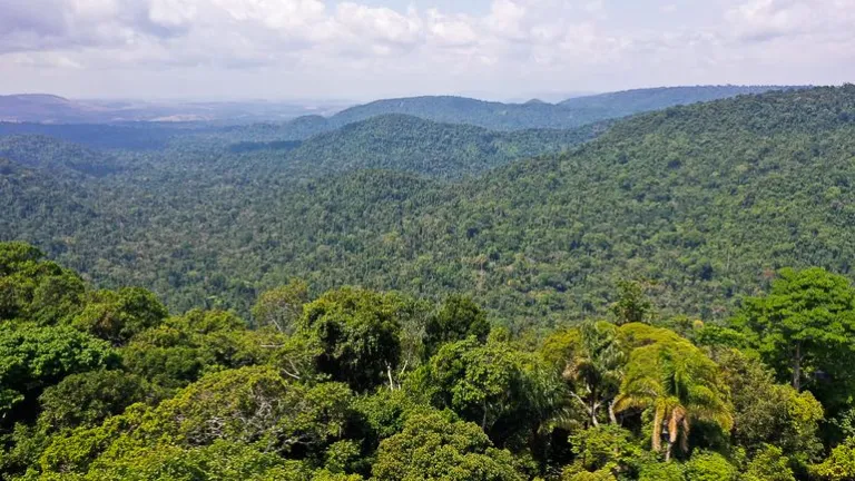 AMEAÇA À AMAZÔNIA,