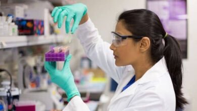 Leis da Natureza deixam cientistas perplexos