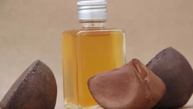 Óleo de Andiroba é um poderoso anti-inflamatório usado há anos pela medicina popular