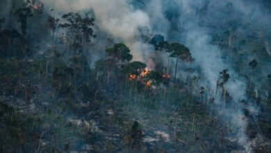Fumaça em Manaus vem das queimadas no Amazonas, diz Inpe
