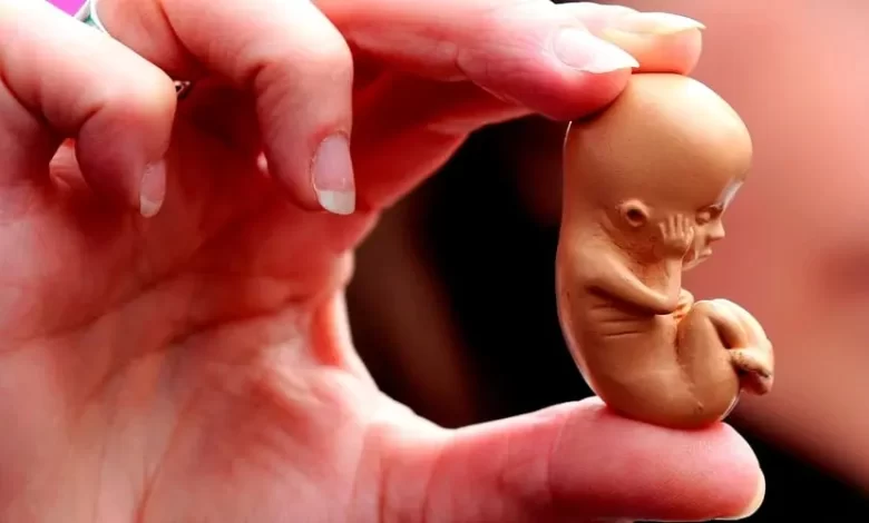 Pesando os prós e contras do aborto