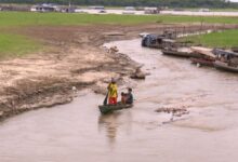 Seca no Amazonas: cidades em situação de emergência sobem para 40