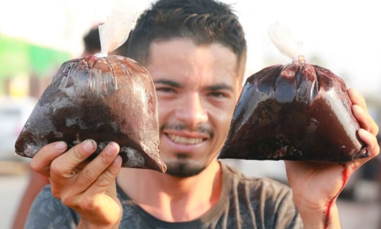 Açaí de Feijó conquista a primeira Indicação Geográfica para o produto no país