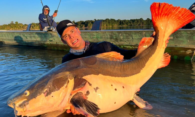 Pirarara de mais de 70 KG em Fama Amazônica