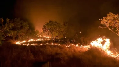 Número de queimadas na Amazônia bate recorde em 2024