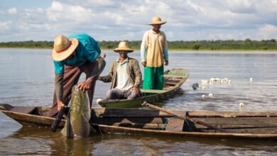 Salve os Caboclos - Salve a Amazônia