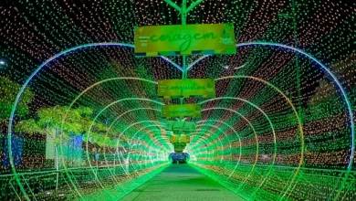Fama Amazônica Apresenta: Natal em Manaus