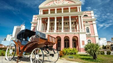 Um Olhar Sobre Manaus: Entre a Modernidade e a Essência Urbana - Por Almir Souza
