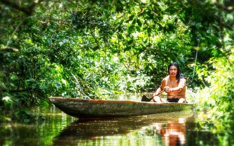 Floresta Amazônica por Almir Souza