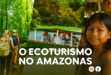 🌿 O Ecoturismo no Amazonas: A Selva como Roteiro Sustentável