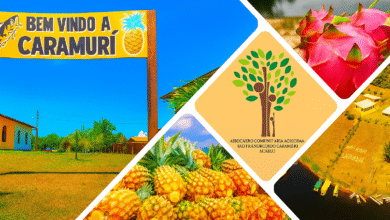 Caramuri: Fruta Amazônica que Encanta pela Riqueza Nutricional e Cultural