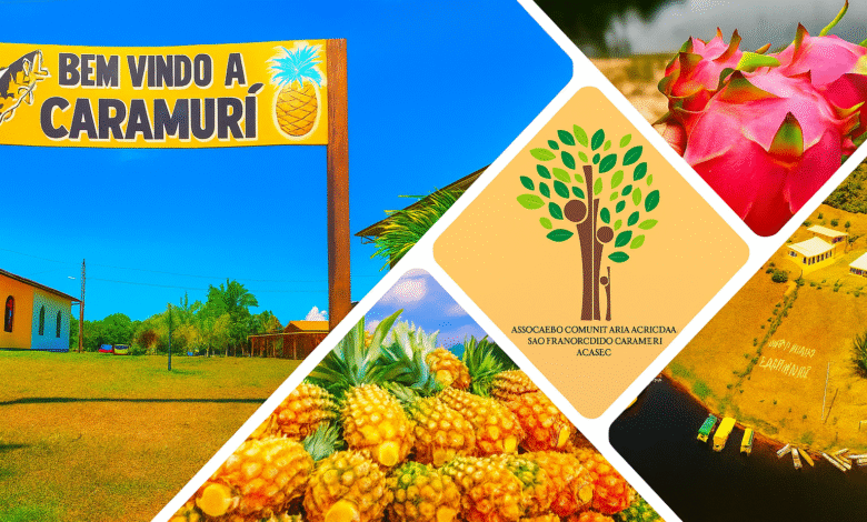 Caramuri: Fruta Amazônica que Encanta pela Riqueza Nutricional e Cultural