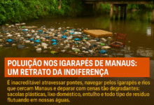 Poluição nos igarapés de Manaus: um retrato da indiferença