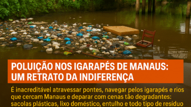 Poluição nos igarapés de Manaus: um retrato da indiferença