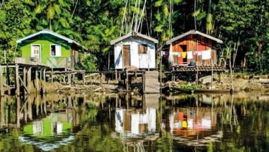 Os ribeirinhos da Amazônia
