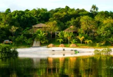 Turismo no Amazonas: Um esforço coletivo para sair do potencial e virar realidade