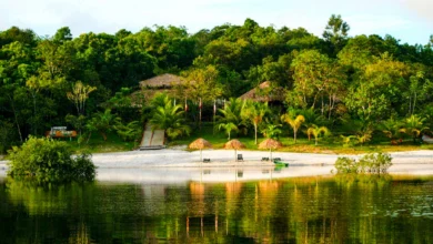 Turismo no Amazonas: Um esforço coletivo para sair do potencial e virar realidade