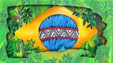 Brasil e Amazônia: entre esperanças e desafios por Almir Souza