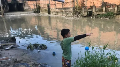Saneamento na Amazônia: solução urgente e oportunidade histórica