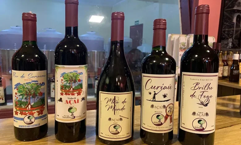 Fama Amazônica apresenta: o vinho de açaí