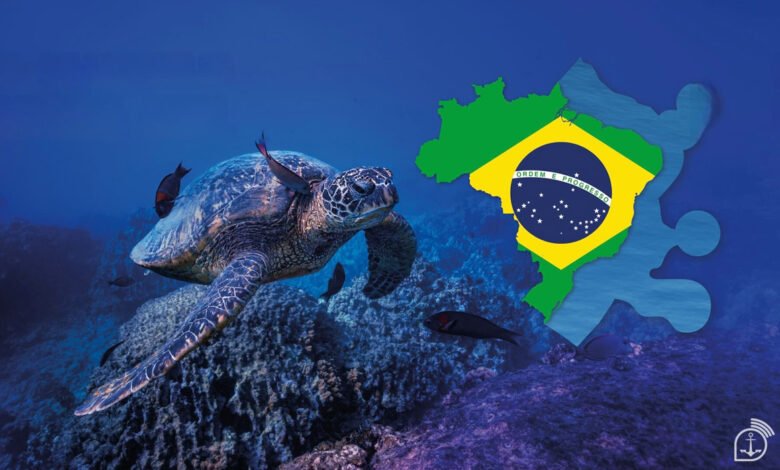 Fama Amazônica e a Amazônia Azul