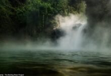 O Rio Fervente da Amazônia: Mistério, Ciência e Alerta Climático