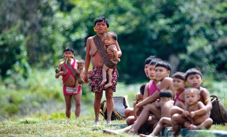 Garimpo ilegal na Terra Indígena Yanomami