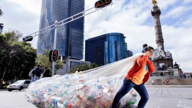 A Nova Era da Sustentabilidade: O Que Muda com o Decreto 12.688/2025