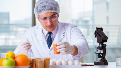 Universidades e Inteligência Artificial: o futuro que não espera