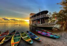 Amazônia Inteligente: Onde o Irapuru e a Inovação Cantam Juntos