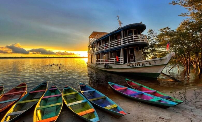 Amazônia Inteligente: Onde o Irapuru e a Inovação Cantam Juntos