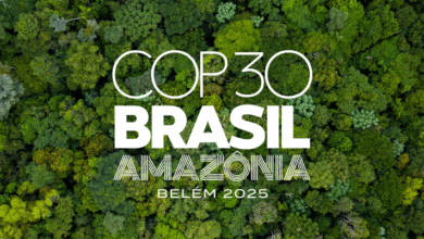 A Galinha dos Ovos de Ouro da Sustentabilidade Brasileira