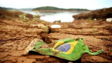A COP30 e a Verdade que o Brasil Insiste em Não Enxergar