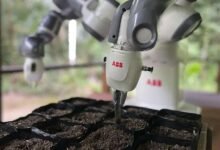 IBBI: Robótica e Biotecnologia impulsionando a nova era da Amazônia