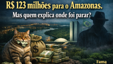 Onde está o dinheiro? O gato comeu