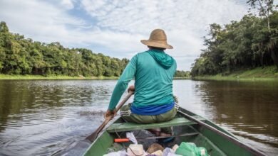 Declaração de Mamirauá: Entre a Desconfiança Histórica e a Chance de um Novo Caminho