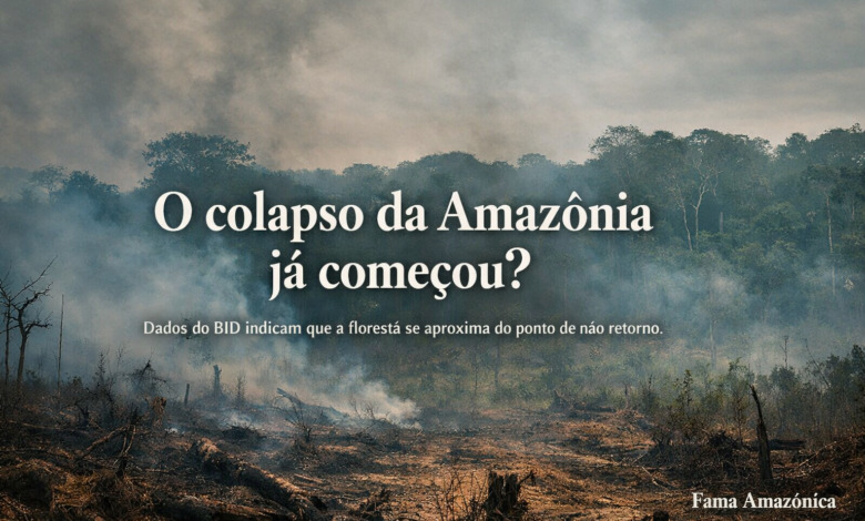 O futuro da Amazônia em jogo