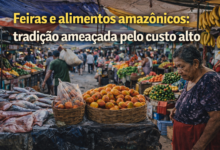 Feiras e alimentos amazônicos: tradição ameaçada pelo custo alto