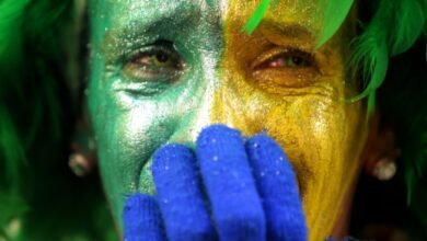 Estamos entregando o Amazonas aos estrangeiros