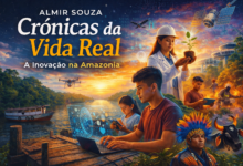 A Inovação que Nasce no Meio da Floresta