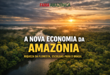 A nova economia da Amazônia