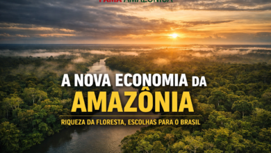 A nova economia da Amazônia