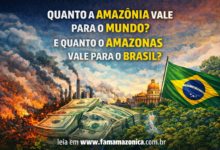 Zona Franca, Floresta e Soberania: O Debate Que Precisa Ser Adulto