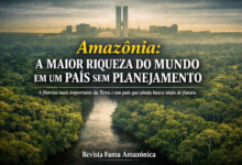 Amazônia: A Maior Riqueza do Mundo em um País Sem Planejamento