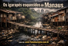 Os igarapés esquecidos de Manaus