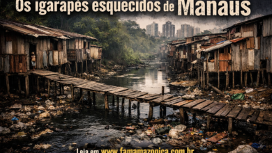 Os igarapés esquecidos de Manaus